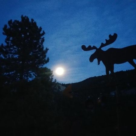 Alpine Moose Lodge Lake City Bagian luar foto