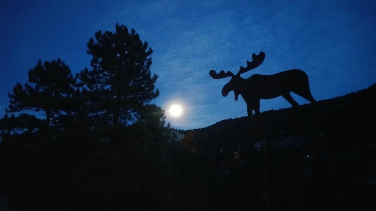Alpine Moose Lodge Lake City Bagian luar foto