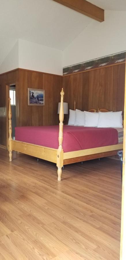 Alpine Moose Lodge Lake City Bagian luar foto
