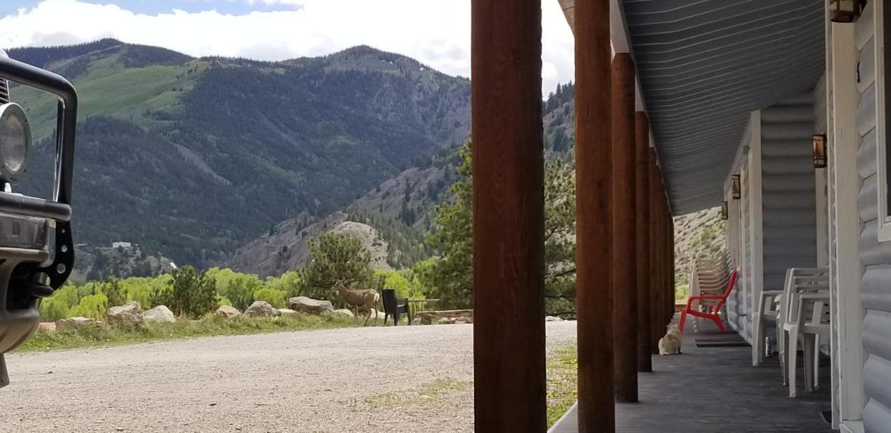 Alpine Moose Lodge Lake City Bagian luar foto