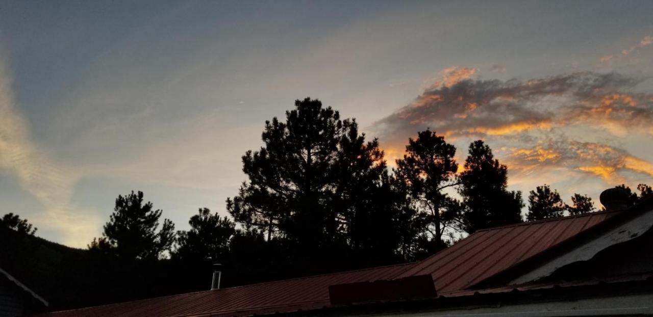 Alpine Moose Lodge Lake City Bagian luar foto