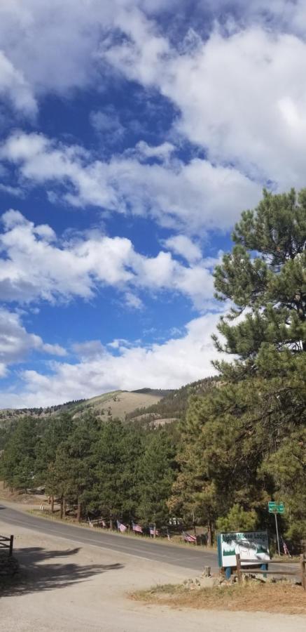 Alpine Moose Lodge Lake City Bagian luar foto