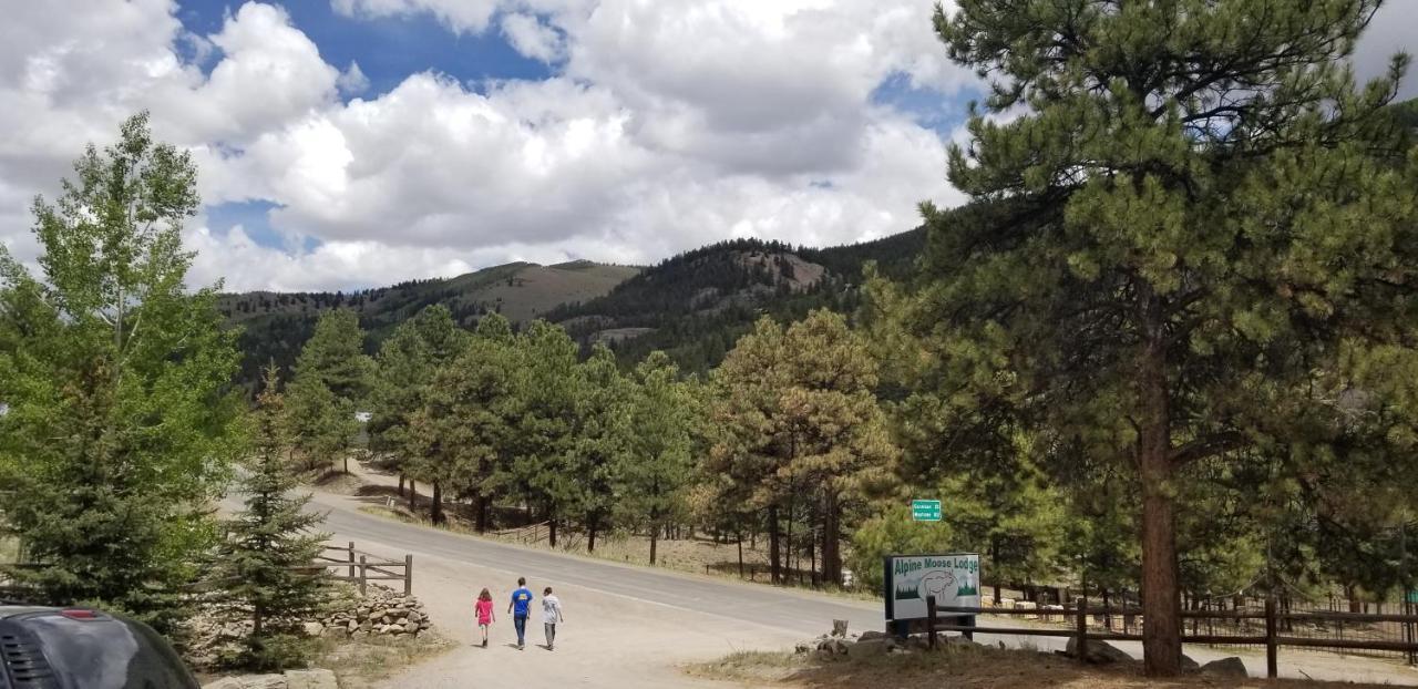 Alpine Moose Lodge Lake City Bagian luar foto