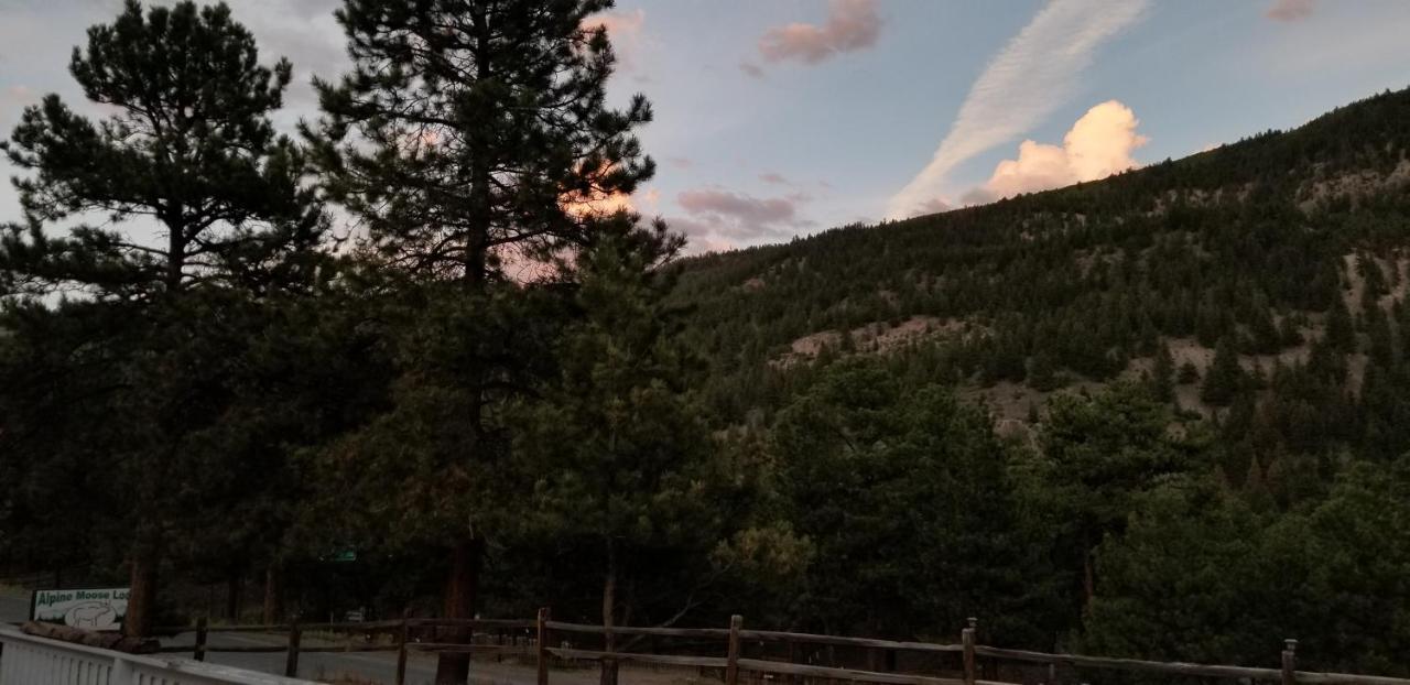 Alpine Moose Lodge Lake City Bagian luar foto
